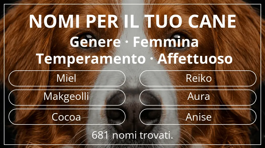 Nomi canini ispirati a genere femmina e temperamento affettuoso