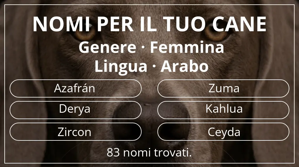 Nomi canini ispirati a genere femmina e lingua arabo