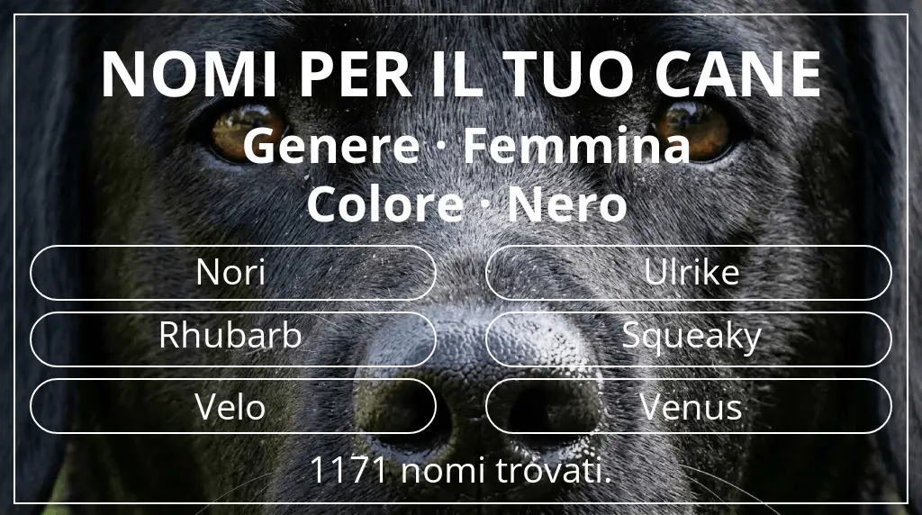 Nomi per cani basati su genere femmina e colore nero