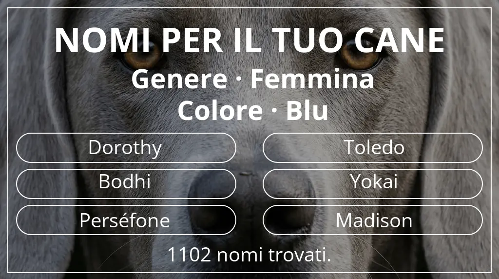 Nomi canini ispirati a genere femmina e colore blu