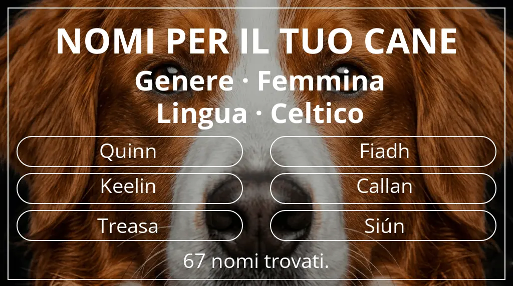 Nomi per cani basati su genere femmina e lingua celtico