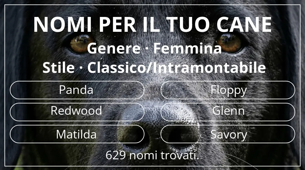 Nomi per cani ispirati a genere femmina e stile classico/intramontabile