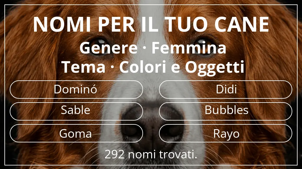 Nomi canini basati su genere femmina e tema colori e oggetti