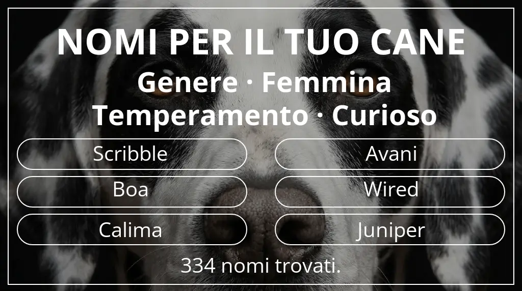 Nomi per cani ispirati a genere femmina e temperamento curioso