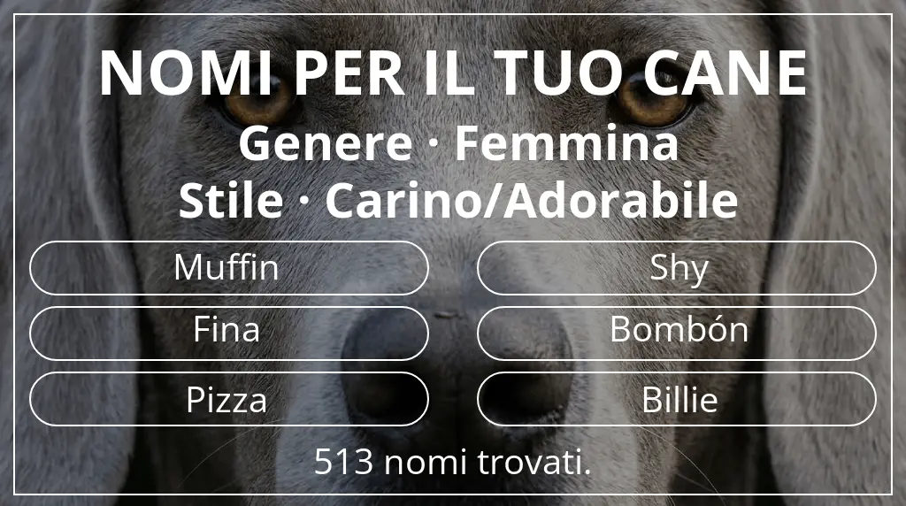 Nomi canini ispirati a genere femmina e stile carino/adorabile