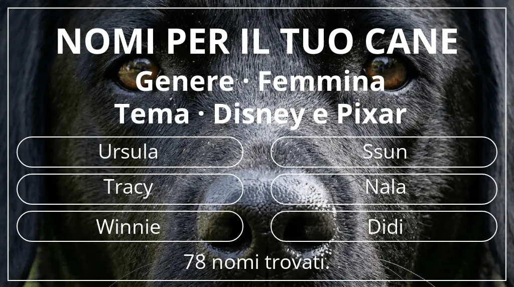 Nomi per cani basati su genere femmina e tema disney e pixar