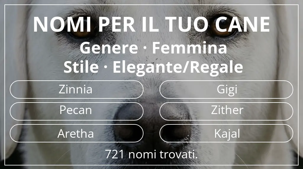 Nomi canini ispirati a genere femmina e stile elegante/regale