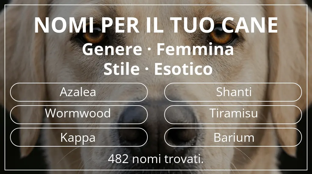 Nomi per cani basati su genere femmina e stile esotico