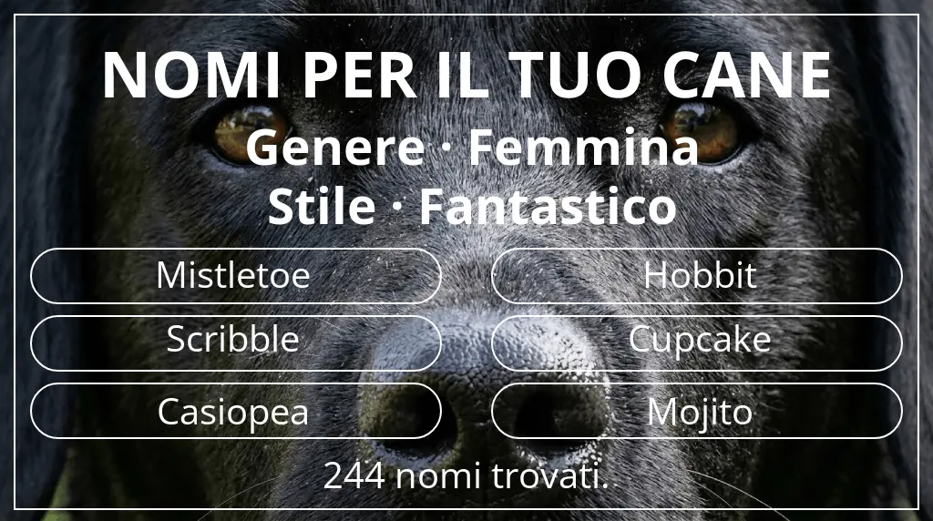 Nomi per cani ispirati a genere femmina e stile fantastico