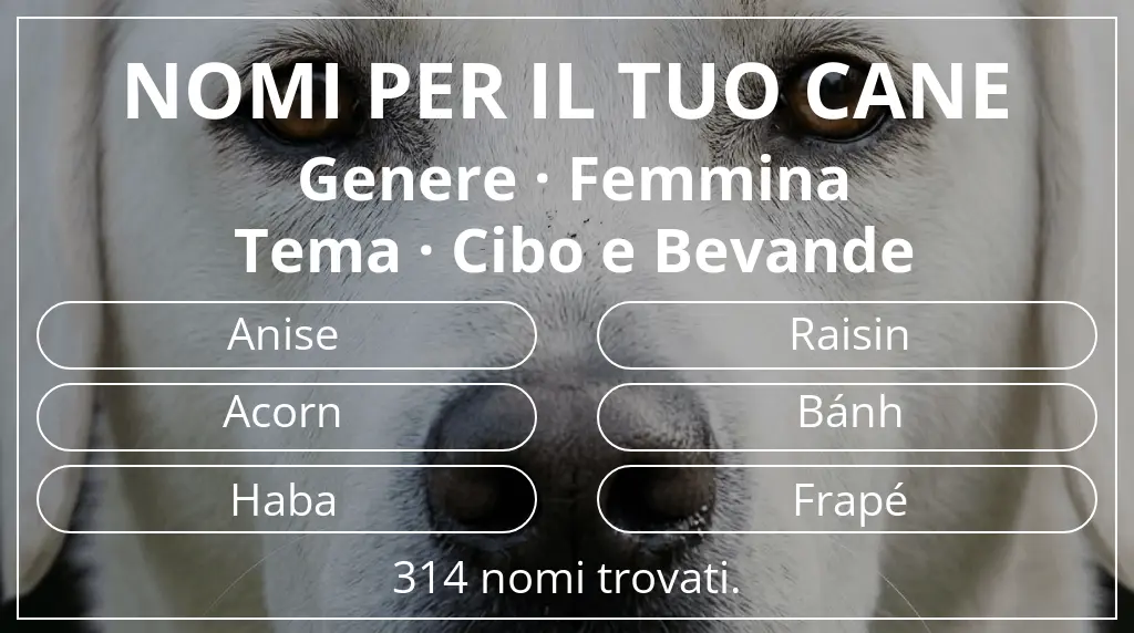Nomi canini ispirati a genere femmina e tema cibo e bevande