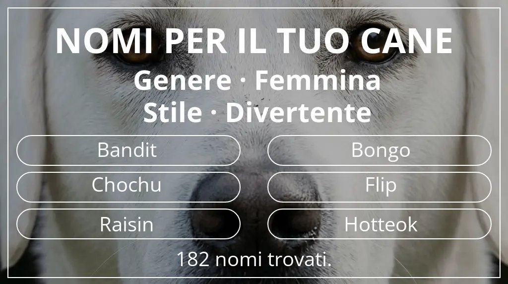 Nomi per cani ispirati a genere femmina e stile divertente