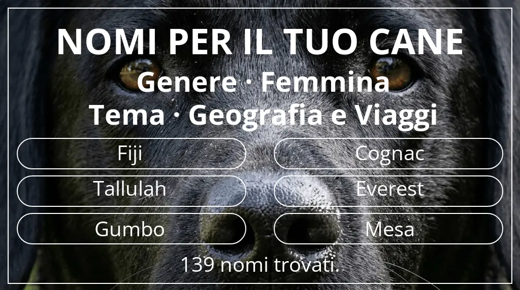 Nomi per cani ispirati a genere femmina e tema geografia e viaggi