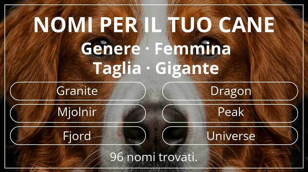 Nomi per cani ispirati a genere femmina e taglia gigante