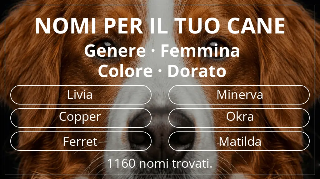 Nomi per cani ispirati a genere femmina e colore dorato