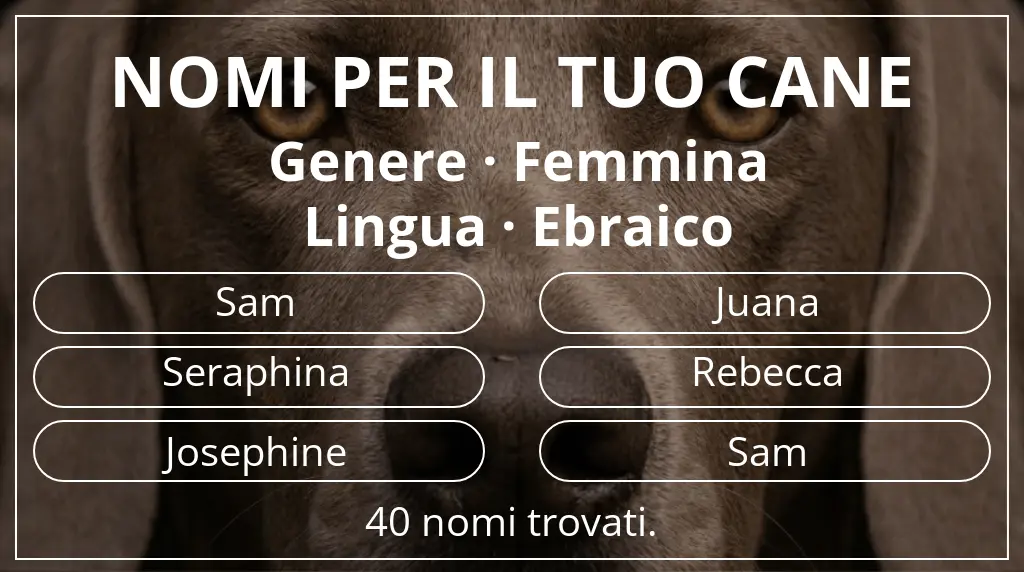 Nomi canini basati su genere femmina e lingua ebraico