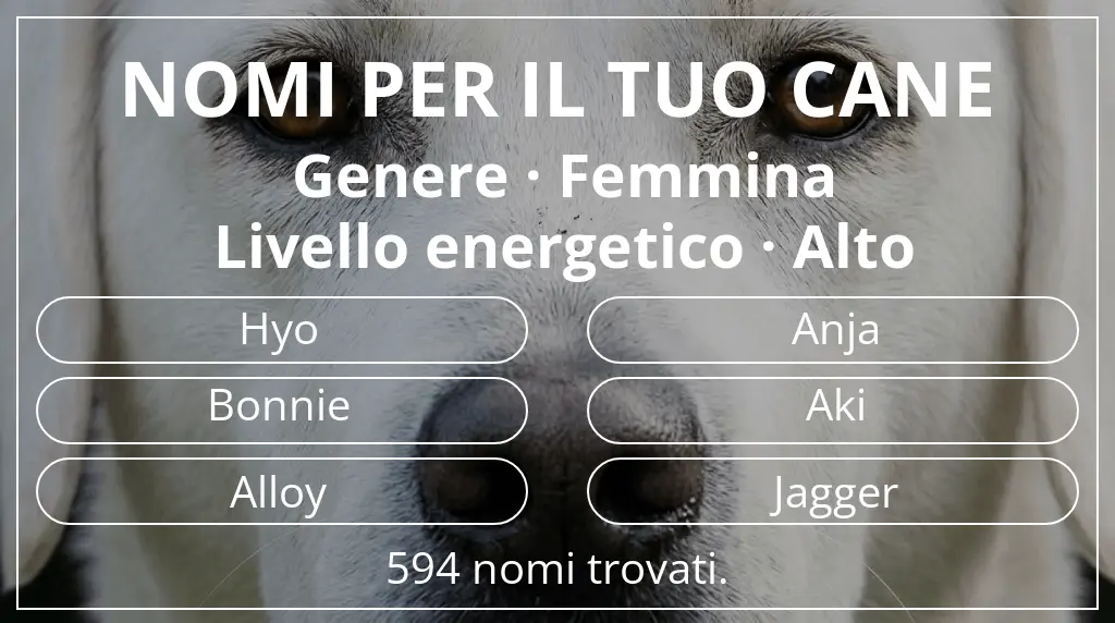 Nomi canini basati su genere femmina e livello energetico alto