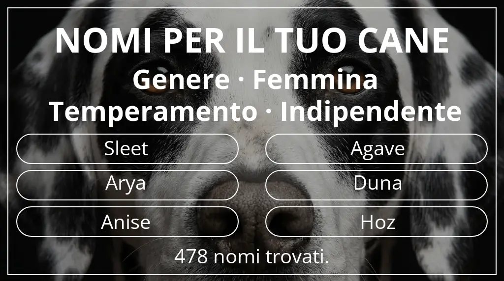 Nomi per cani basati su genere femmina e temperamento indipendente