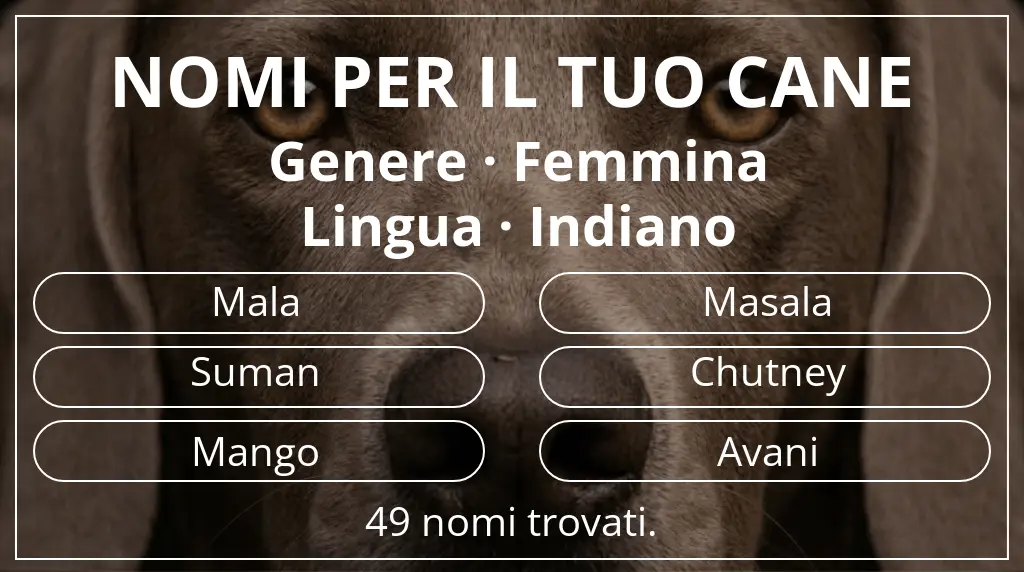 Nomi per cani basati su genere femmina e lingua indiano