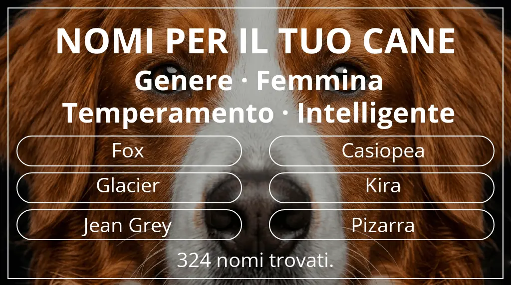 Nomi per cani ispirati a genere femmina e temperamento intelligente
