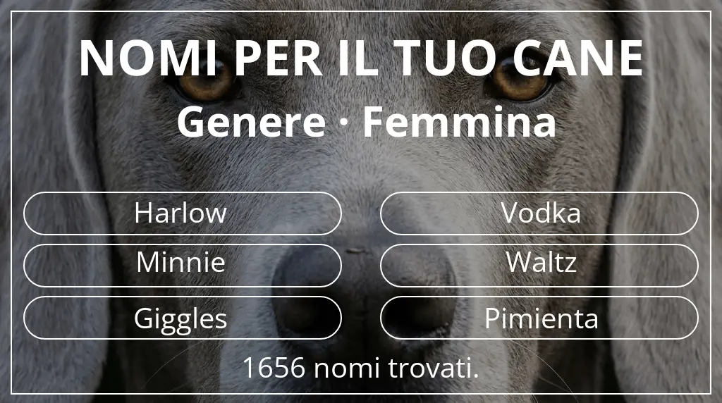 Nomi canini basati su genere femmina