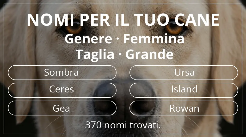 Nomi canini ispirati a genere femmina e taglia grande