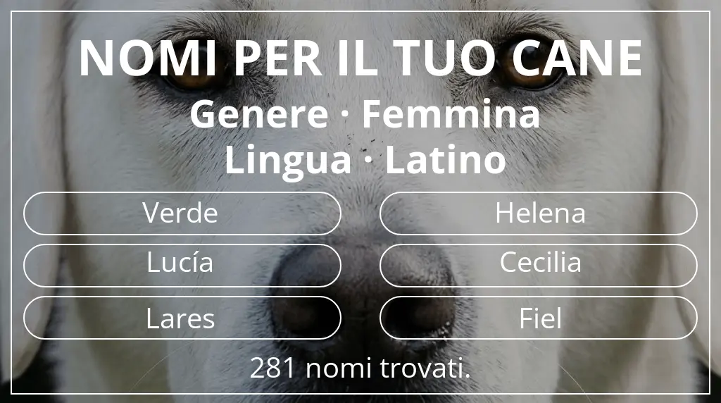 Nomi per cani basati su genere femmina e lingua latino