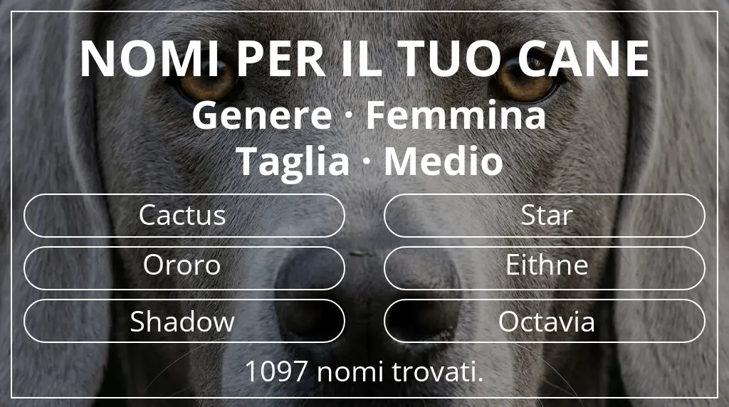 Nomi canini ispirati a genere femmina e taglia medio