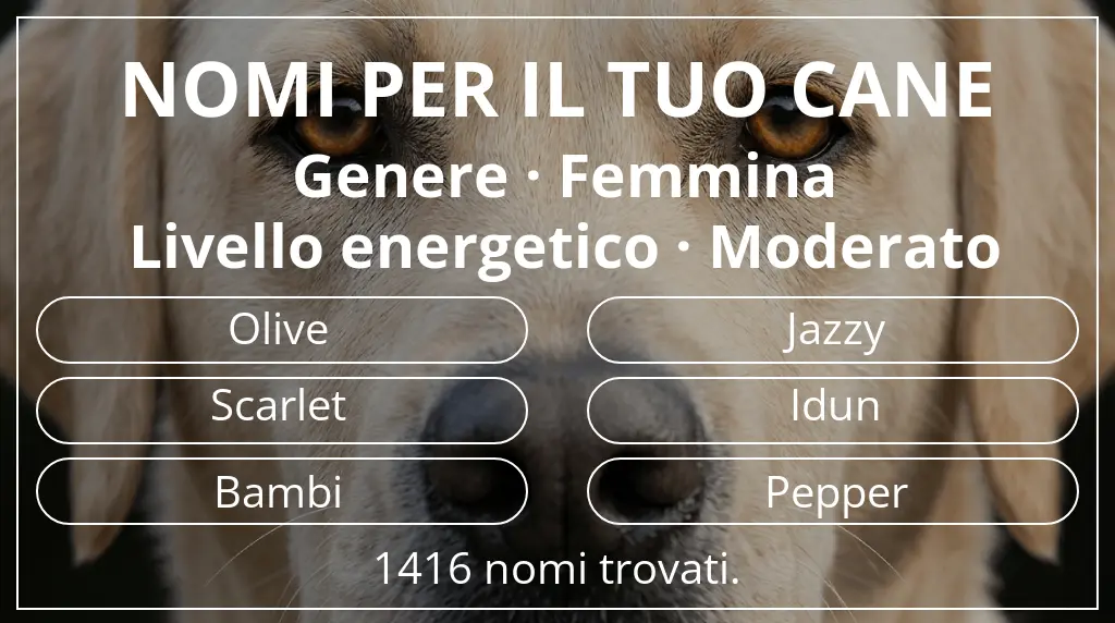 Nomi per cani ispirati a genere femmina e livello energetico moderato