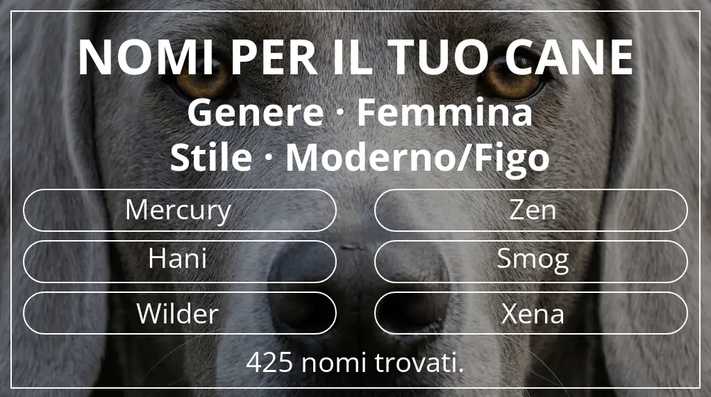 Nomi canini ispirati a genere femmina e stile moderno/figo