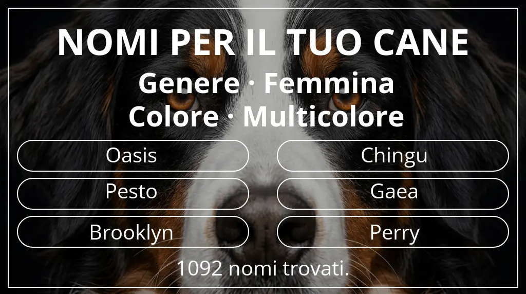Nomi per cani basati su genere femmina e colore multicolore