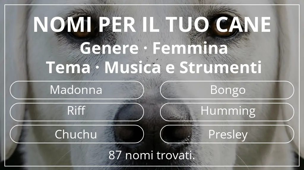 Nomi canini ispirati a genere femmina e tema musica e strumenti