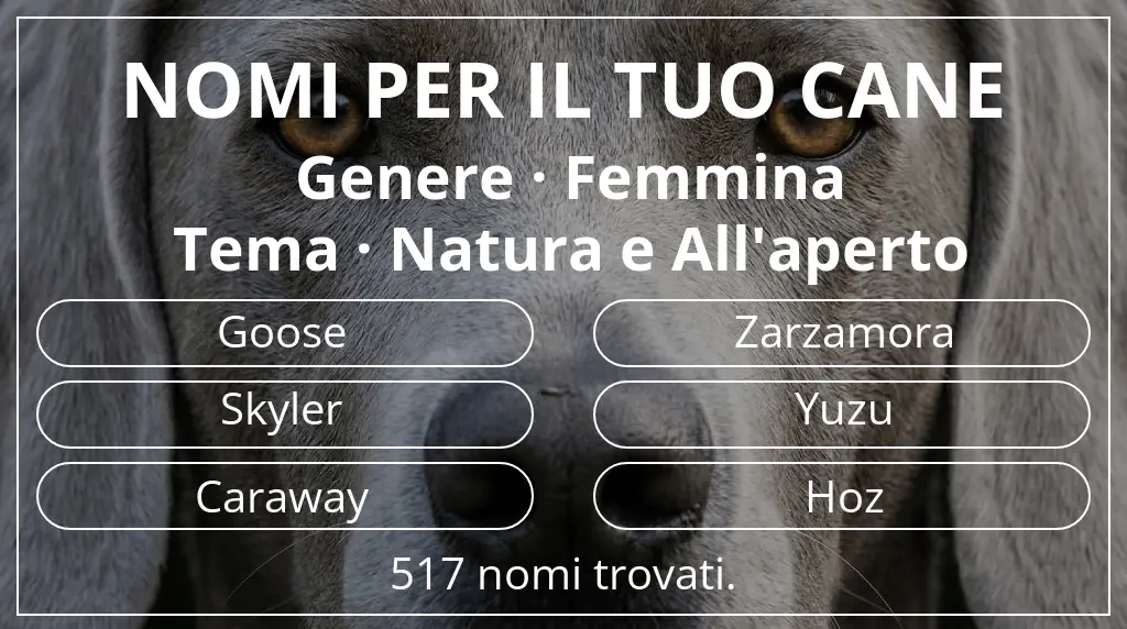 Nomi per cani ispirati a genere femmina e tema natura e all'aperto