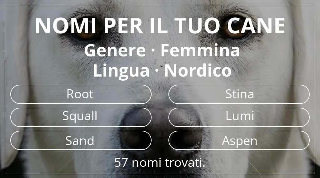 Nomi canini ispirati a genere femmina e lingua nordico