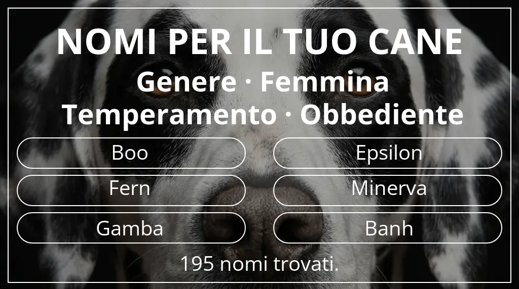 Nomi canini ispirati a genere femmina e temperamento obbediente