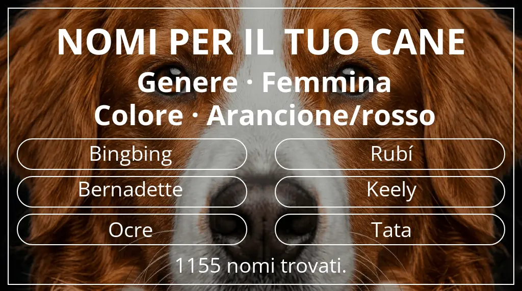 Nomi per cani basati su genere femmina e colore arancione/rosso