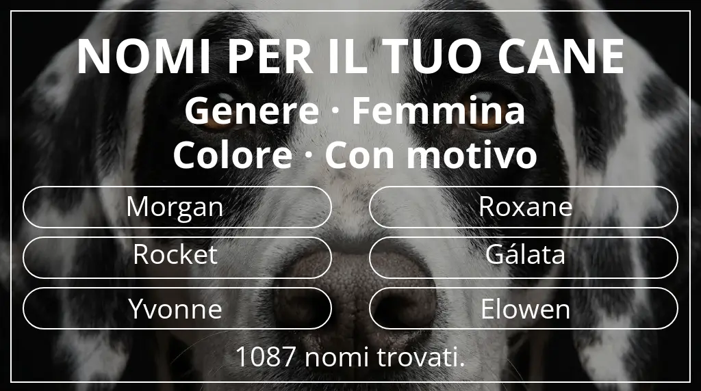 Nomi canini basati su genere femmina e colore con motivo