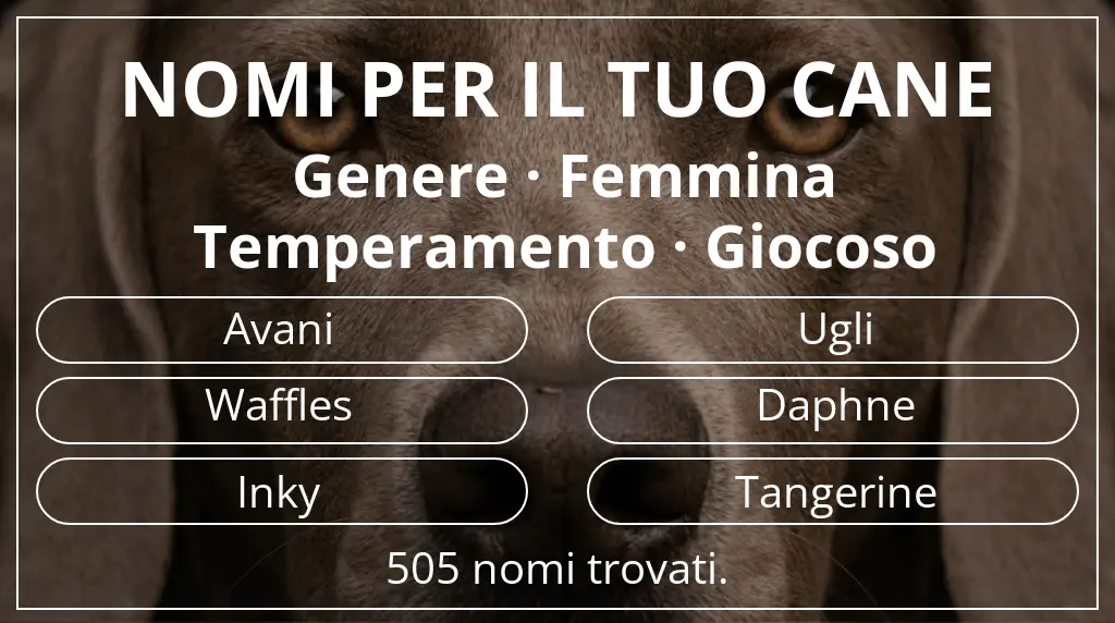 Nomi per cani basati su genere femmina e temperamento giocoso
