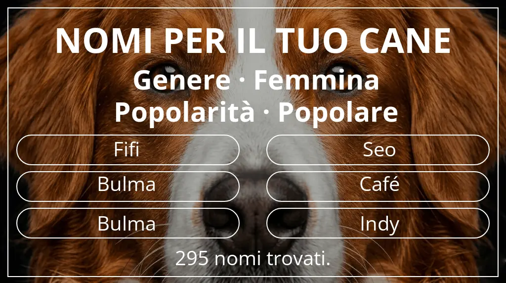 Nomi canini ispirati a genere femmina e popolarità popolare