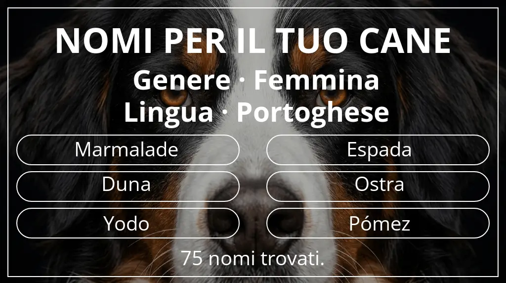 Nomi per cani ispirati a genere femmina e lingua portoghese
