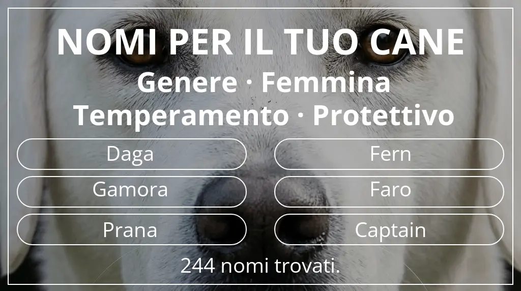 Nomi canini ispirati a genere femmina e temperamento protettivo