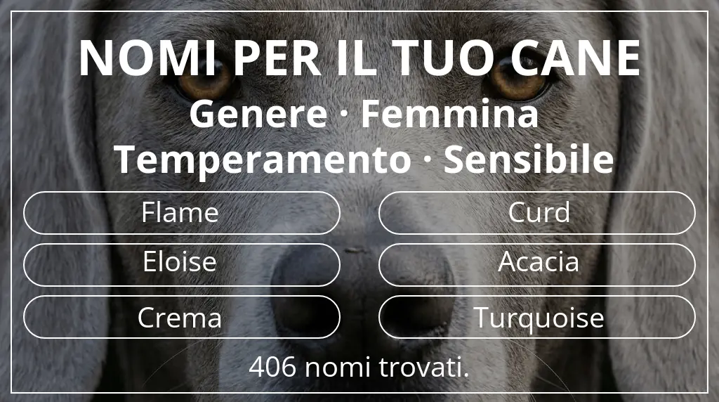 Nomi canini basati su genere femmina e temperamento sensibile