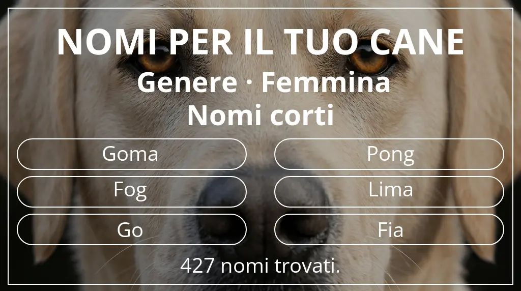Nomi canini ispirati a genere femmina e lunghezza del nome breve (2–4)
