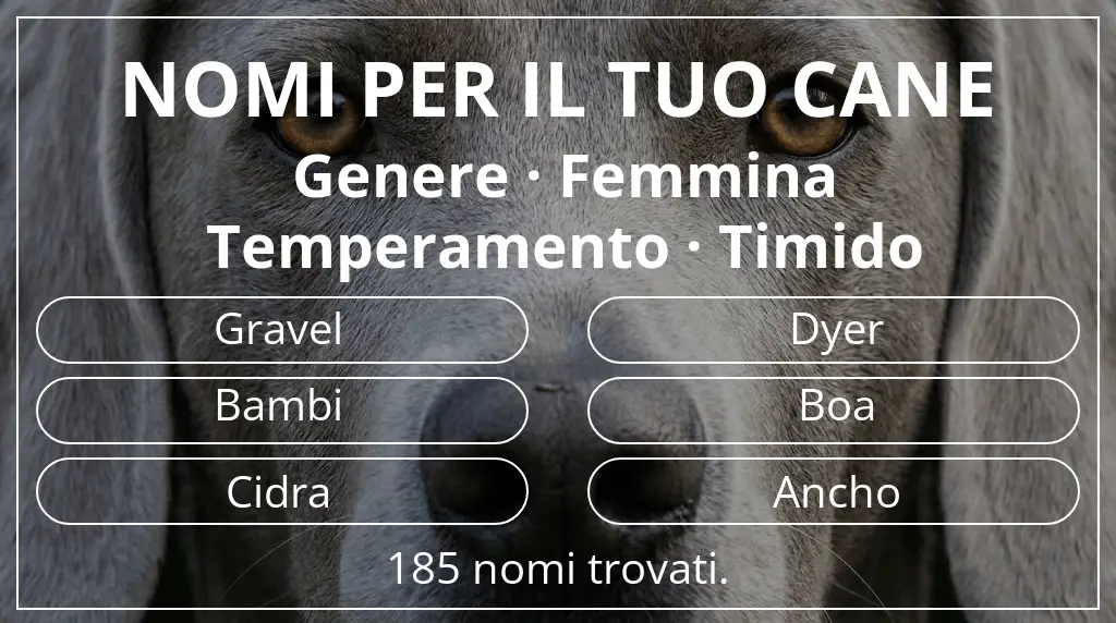 Nomi canini ispirati a genere femmina e temperamento timido