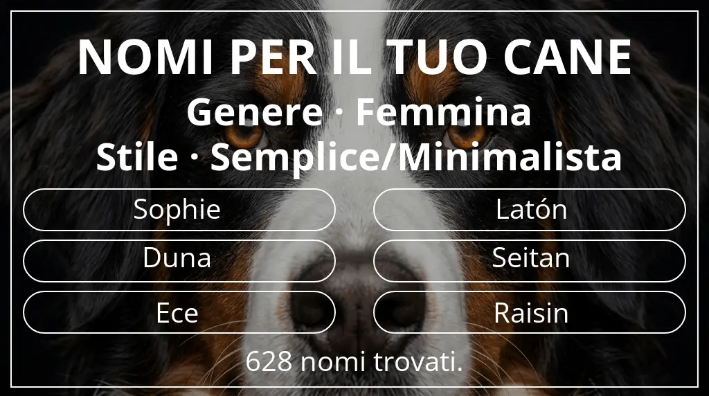 Nomi per cani ispirati a genere femmina e stile semplice/minimalista