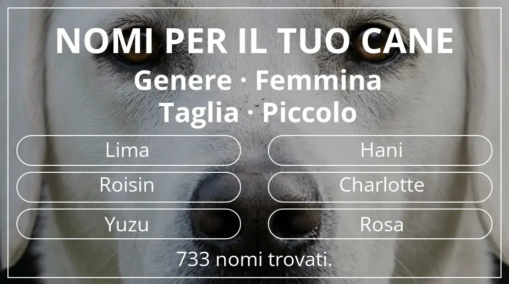 Nomi per cani ispirati a genere femmina e taglia piccolo