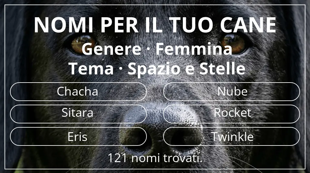 Nomi per cani basati su genere femmina e tema spazio e stelle