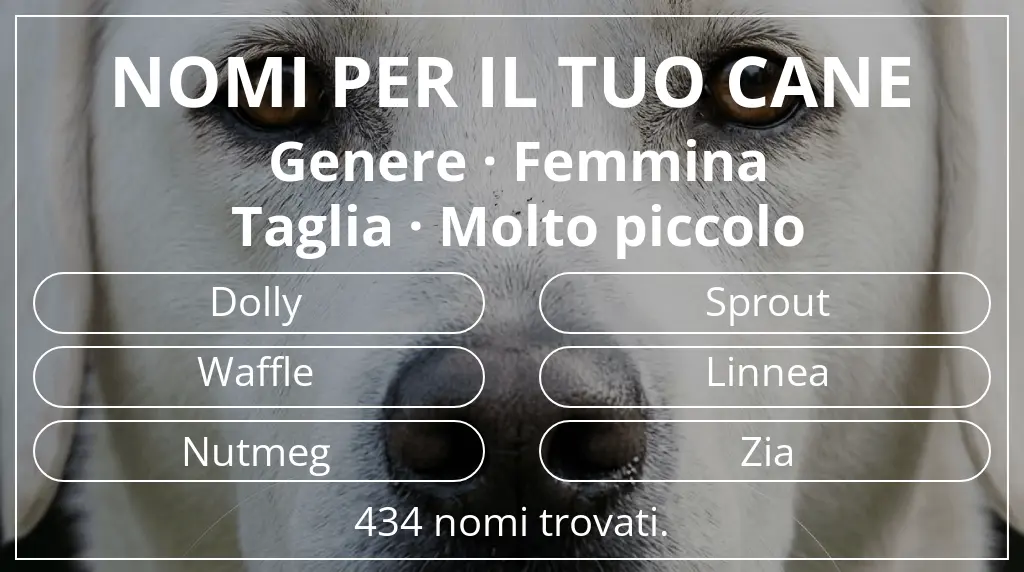 Nomi canini basati su genere femmina e taglia molto piccolo