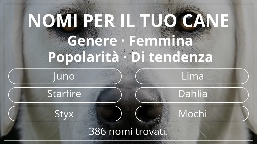 Nomi per cani ispirati a genere femmina e popolarità di tendenza
