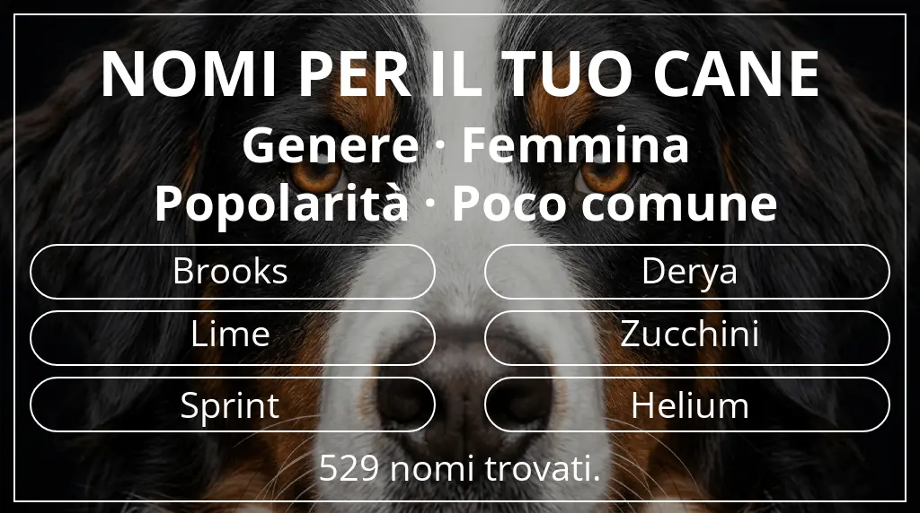 Nomi per cani ispirati a genere femmina e popolarità poco comune