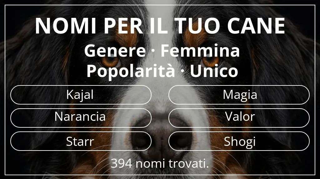 Nomi per cani basati su genere femmina e popolarità unico